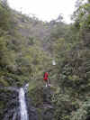 waterfall 2b.jpg (87070 bytes)