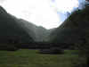 waihanau valley.jpg (37669 bytes)